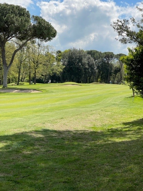 Olgiata Golf Club (West) Review by Rex Tattersall | Top 100 Golf Courses
