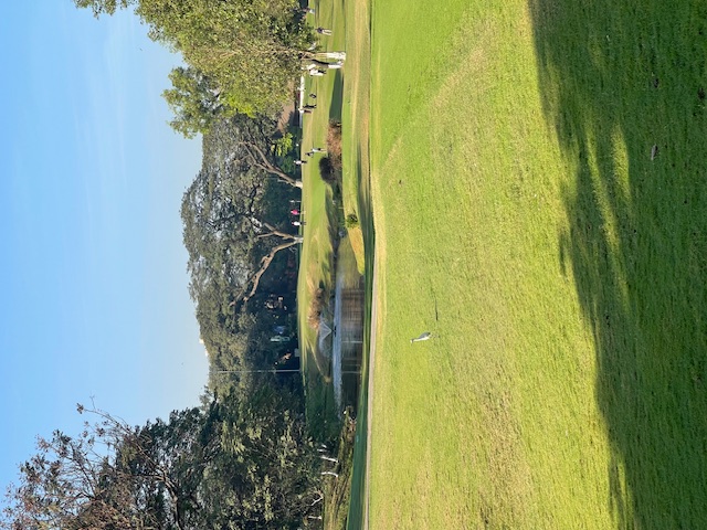 Bombay Presidency Review by Rex Tattersall | Top 100 Golf Courses