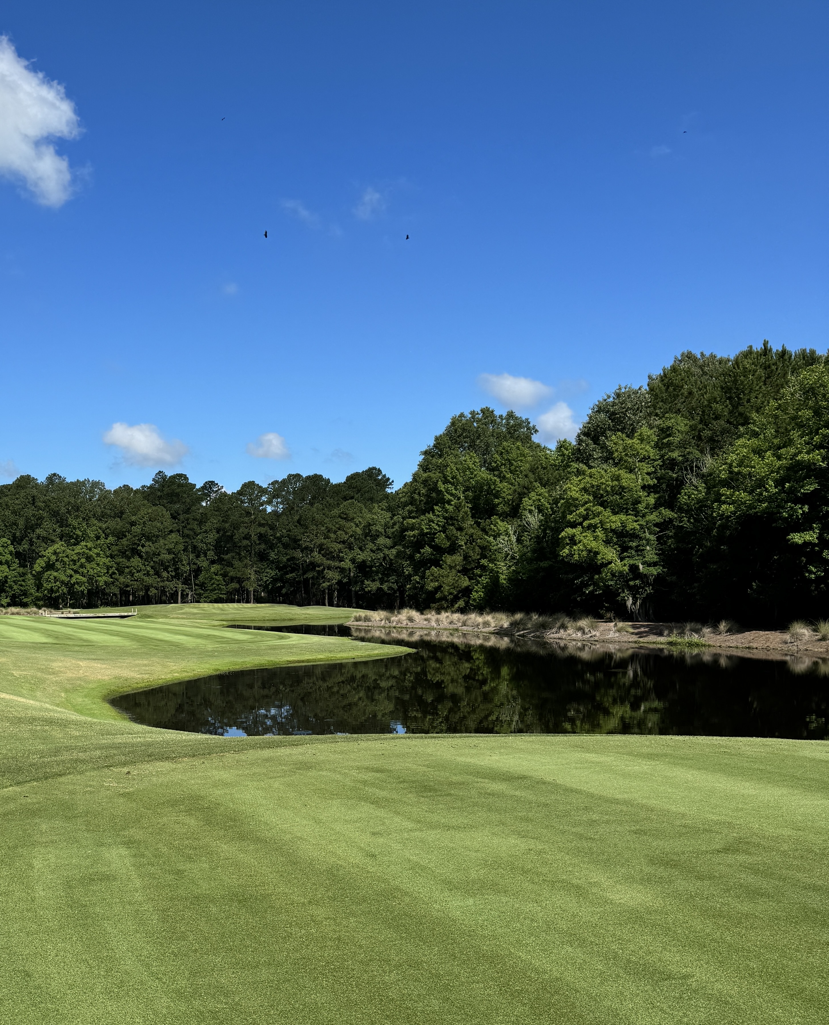 Cherokee Plantation Review by Bill Vostniak | Top 100 Golf Courses