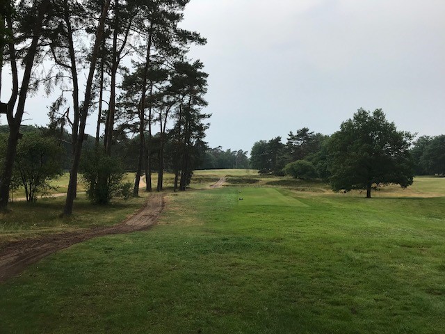 Hilversumsche Review by Rex Tattersall | Top 100 Golf Courses
