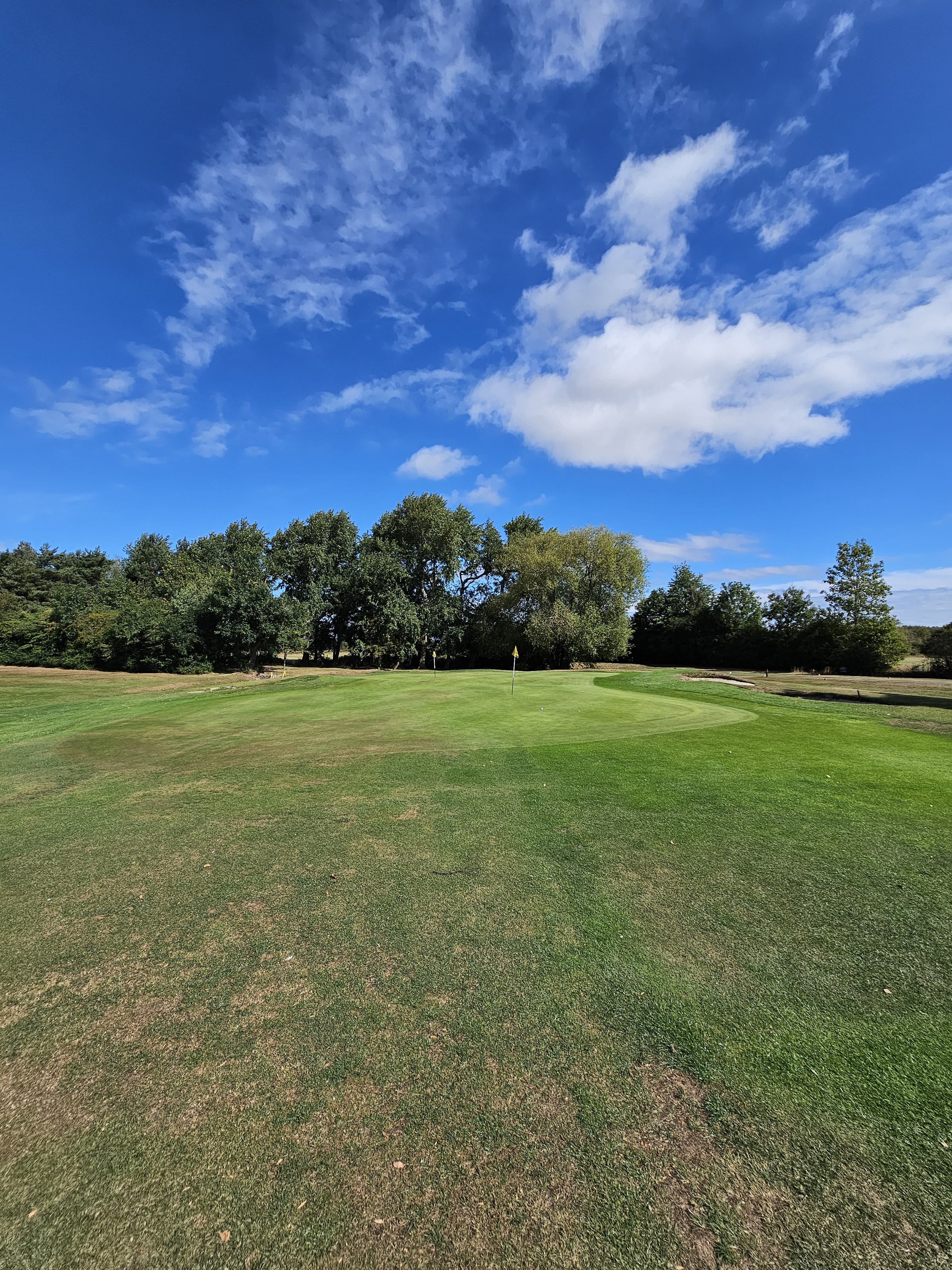 Darlington Golf Club Review by Andy Cocker | Top 100 Golf Courses
